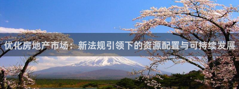 和记手机版官网：优化房地产市场：新法规引领下的资源配置与可持