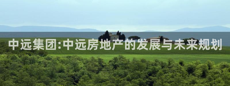 和记h88官网：中远集团:中远房地产的发展与未来规划
