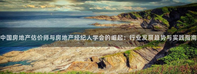 和力记易官网：中国房地产估价师与房地产经纪人学会的崛起：行业