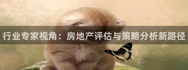 和记娱乐网官网：行业专家视角：房地产评估与策略分析新路径