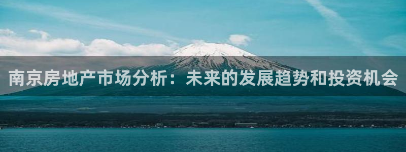 和记网址官网：南京房地产市场分析：未来的发展趋势和投资机会