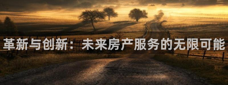 和记黄埔m 官网：革新与创新：未来房产服务的无限可能