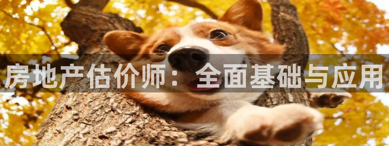 和记日化官网：房地产估价师：全面基础与应用