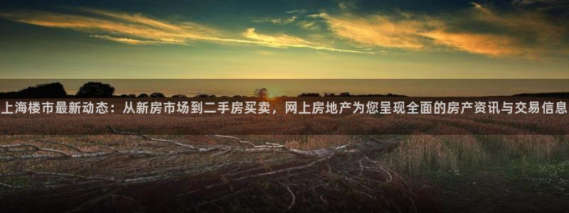 和记娱乐h88官网约凯发来就送68：上海楼市最新动态：从新房