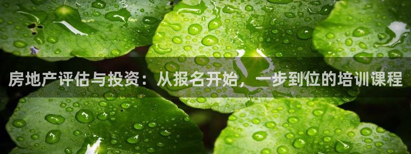 和记官网官网入口：房地产评估与投资：从报名开始，一步到位的培