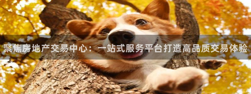 澳门和记官网：聚焦房地产交易中心：一站式服务平台打造高品质交
