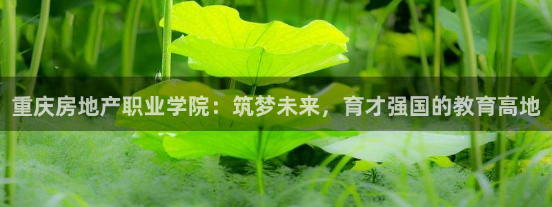 香港和记3hk官网：重庆房地产职业学院：筑梦未来，育才强国的
