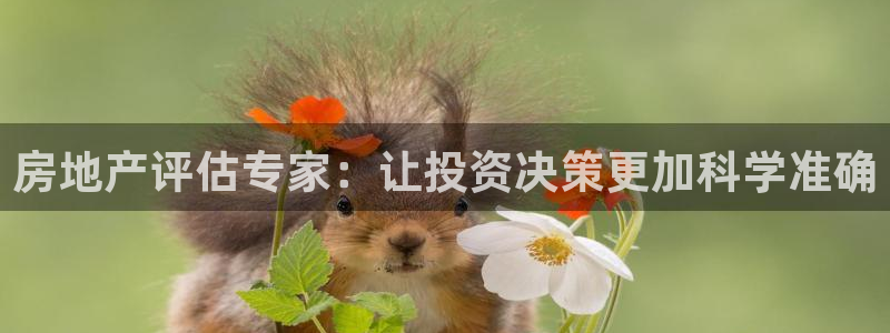 和记中国官网：房地产评估专家：让投资决策更加科学准确