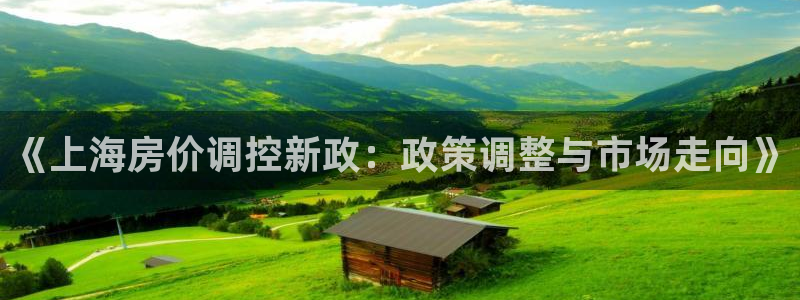 和木记手帕官网：《上海房价调控新政：政策调整与市场走向》