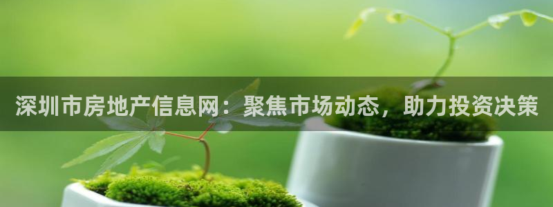 香港和记3官网：深圳市房地产信息网：聚焦市场动态，助力投资决