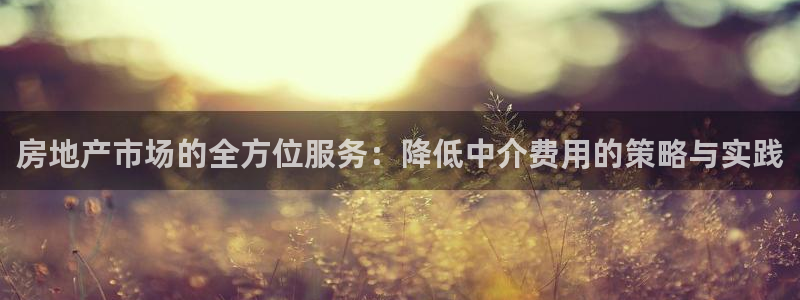 和记娱乐场所官网：房地产市场的全方位服务：降低中介费用的策略