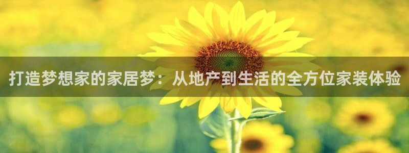 3和记电讯官网：打造梦想家的家居梦：从地产到生活的全方位家装