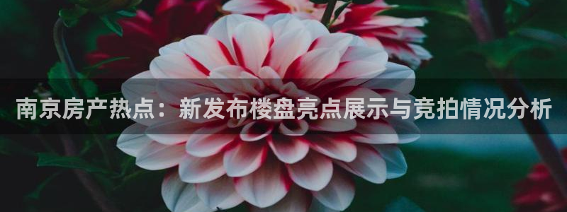 武汉和记黄埔官网：南京房产热点：新发布楼盘亮点展示与竞拍情况