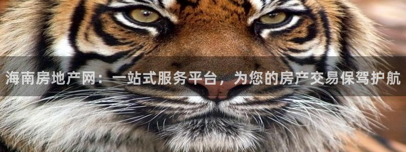 和记app官方官网登录：海南房地产网：一站式服务平台，为您的