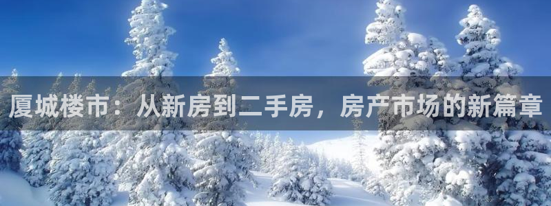 香港长江和记官网：厦城楼市：从新房到二手房，房产市场的新篇章