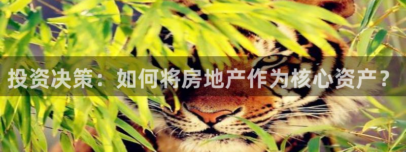 和记备用网官网开户：投资决策：如何将房地产作为核心资产？