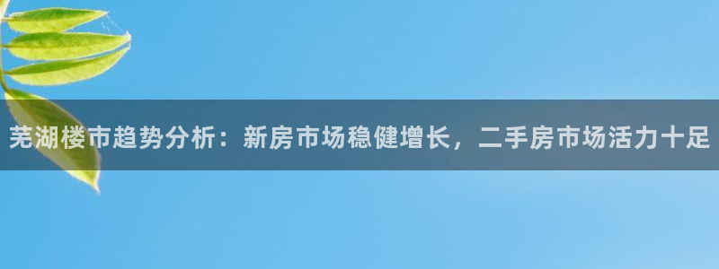 和记电讯官网：芜湖楼市趋势分析：新房市场稳健增长，二手房市场