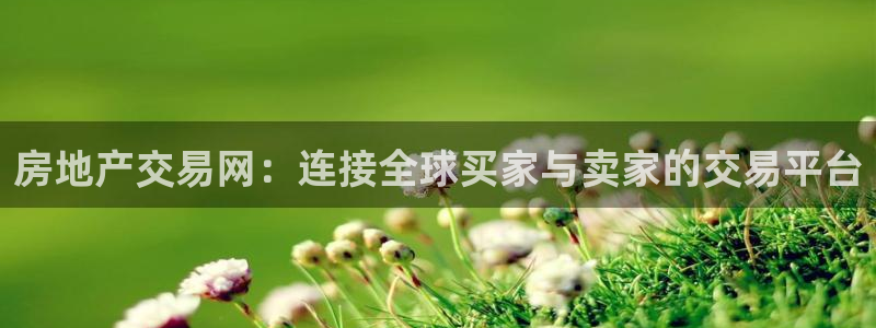 和记电讯官网0机构：房地产交易网：连接全球买家与卖家的交易平