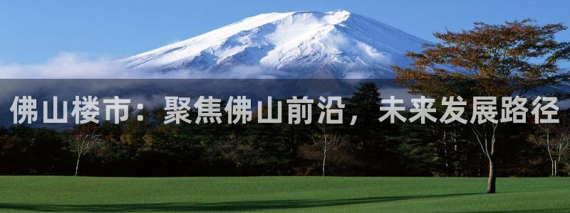 和记3电讯官网：佛山楼市：聚焦佛山前沿，未来发展路径