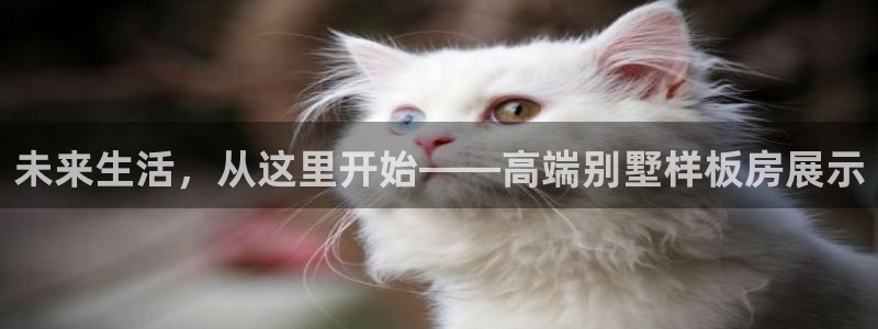 和记唯一官网：未来生活，从这里开始——高端别墅样板房展示