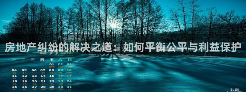 和记官网开户：房地产纠纷的解决之道：如何平衡公平与利益保护