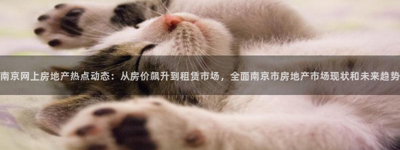香港3和记官网：南京网上房地产热点动态：从房价飙升到租赁市场
