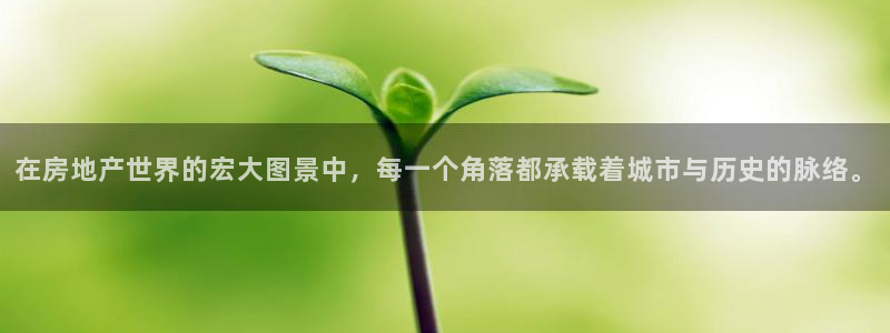 和记app官网：在房地产世界的宏大图景中，每一个角落都承载着