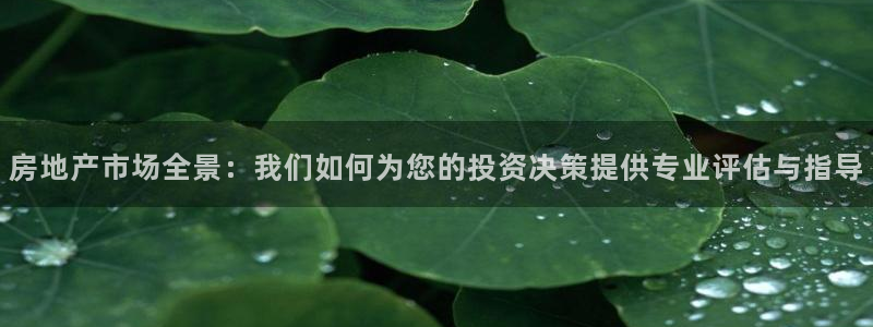 香港长江和记官网：房地产市场全景：我们如何为您的投资决策提供