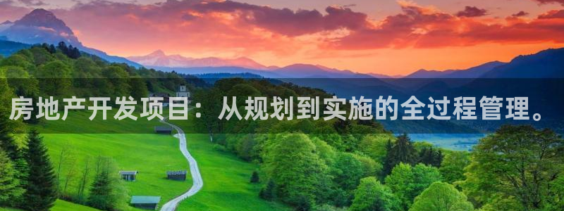 和记国际官网：房地产开发项目：从规划到实施的全过程管理。