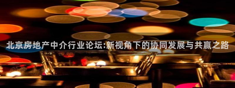 和记怡情h88官网中文版：北京房地产中介行业论坛:新视角下的