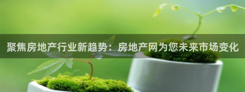 三宇和记官网：聚焦房地产行业新趋势：房地产网为您未来市场变化