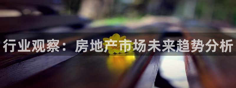 和记官网手机：行业观察：房地产市场未来趋势分析