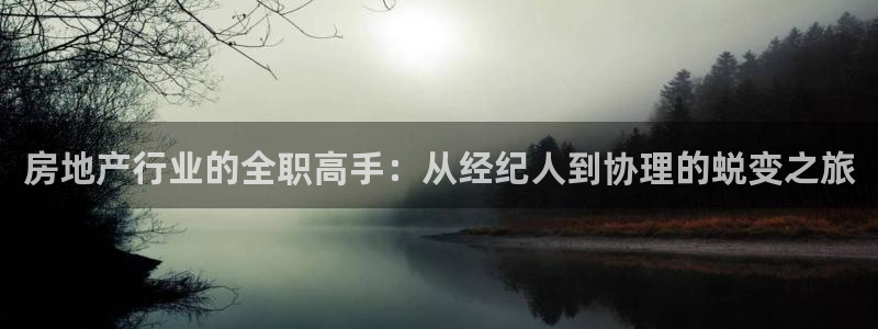 和记官网和记：房地产行业的全职高手：从经纪人到协理的蜕变之旅