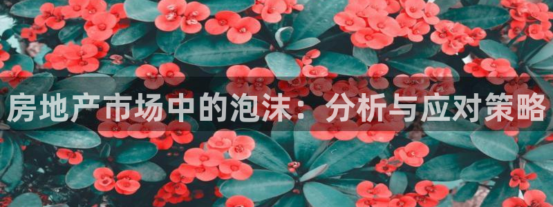 和记手机版官网：房地产市场中的泡沫：分析与应对策略