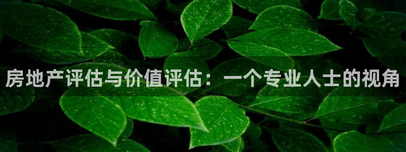 和记黄埔m 官网：房地产评估与价值评估：一个专业人士的视角