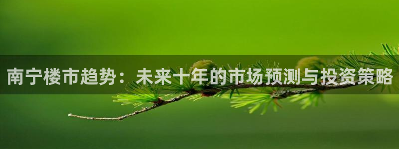 香港和记电信官网：南宁楼市趋势：未来十年的市场预测与投资策略