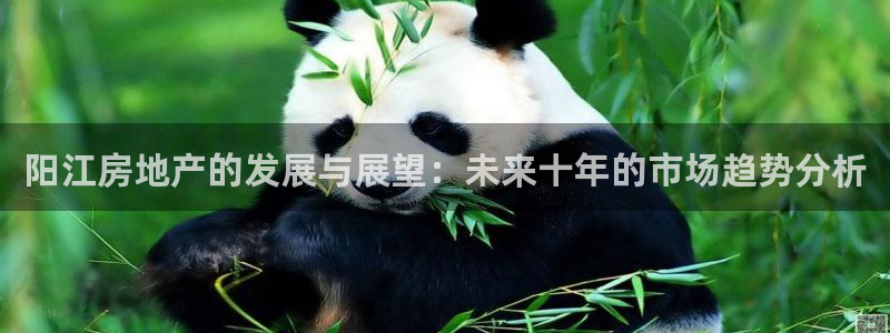 和记娱的确好h88285官网：阳江房地产的发展与展望：未来十