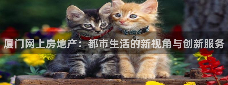 和记官网首页：厦门网上房地产：都市生活的新视角与创新服务