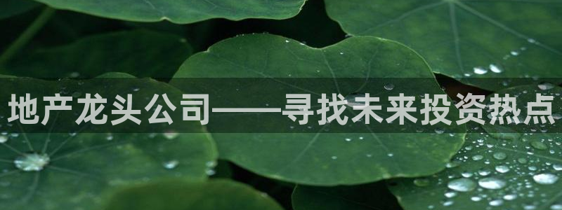 和记平台官网：地产龙头公司——寻找未来投资热点