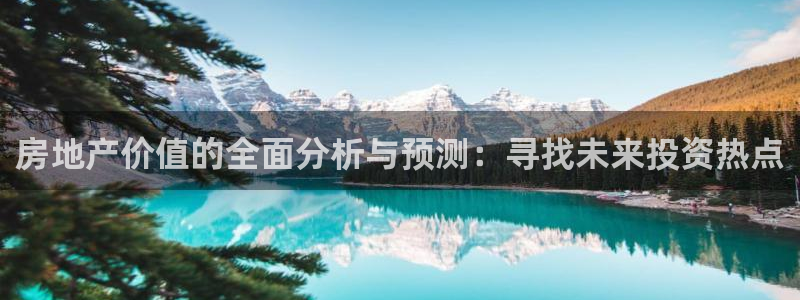 和记娱就问h88285官网：房地产价值的全面分析与预测：寻找