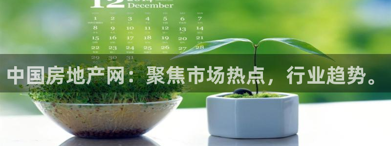 和记官网app是谁的：中国房地产网：聚焦市场热点，行业趋势。
