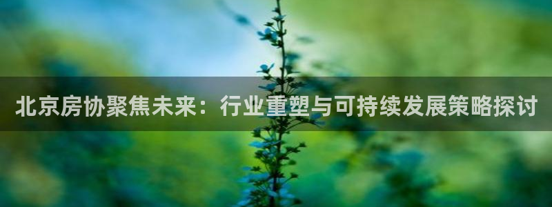 和记娱乐h8官网：北京房协聚焦未来：行业重塑与可持续发展策略
