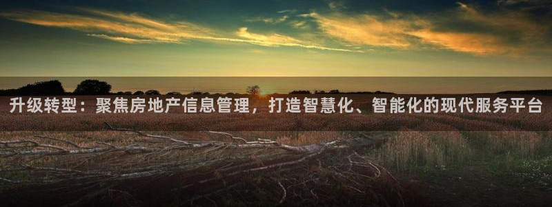 香港和记3台官网：升级转型：聚焦房地产信息管理，打造智慧化、