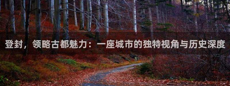 和记娱乐唯一官网：登封，领略古都魅力：一座城市的独特视角与历