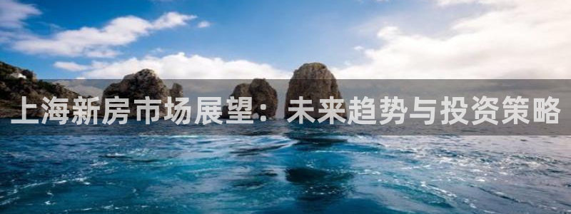 和帆记加盟官网：上海新房市场展望：未来趋势与投资策略