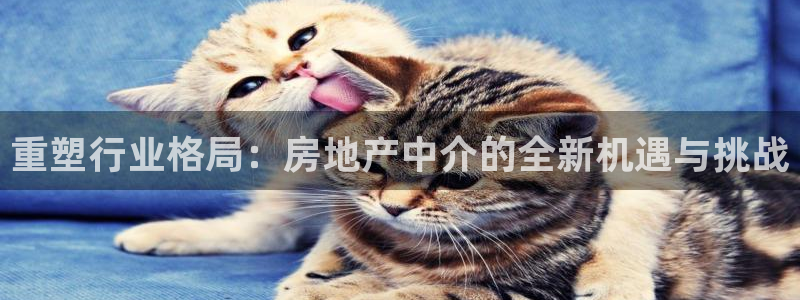 香港和记集团官网：重塑行业格局：房地产中介的全新机遇与挑战