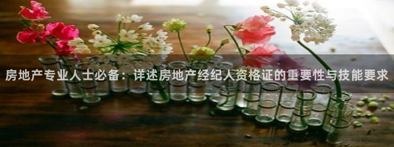 和记电讯3官网：房地产专业人士必备：详述房地产经纪人资格证的