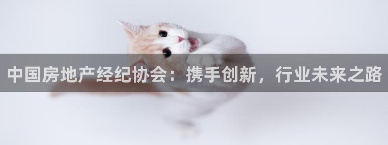 香港和记3官网：中国房地产经纪协会：携手创新，行业未来之路