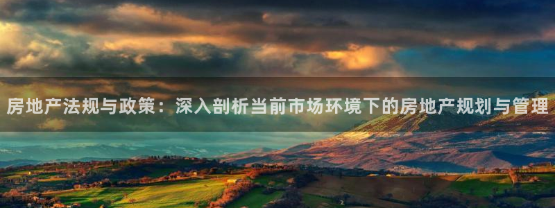 和记奥普泰 官网：房地产法规与政策：深入剖析当前市场环境下的