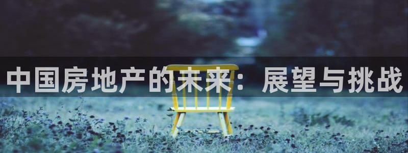 和记游戏官网：中国房地产的未来：展望与挑战
